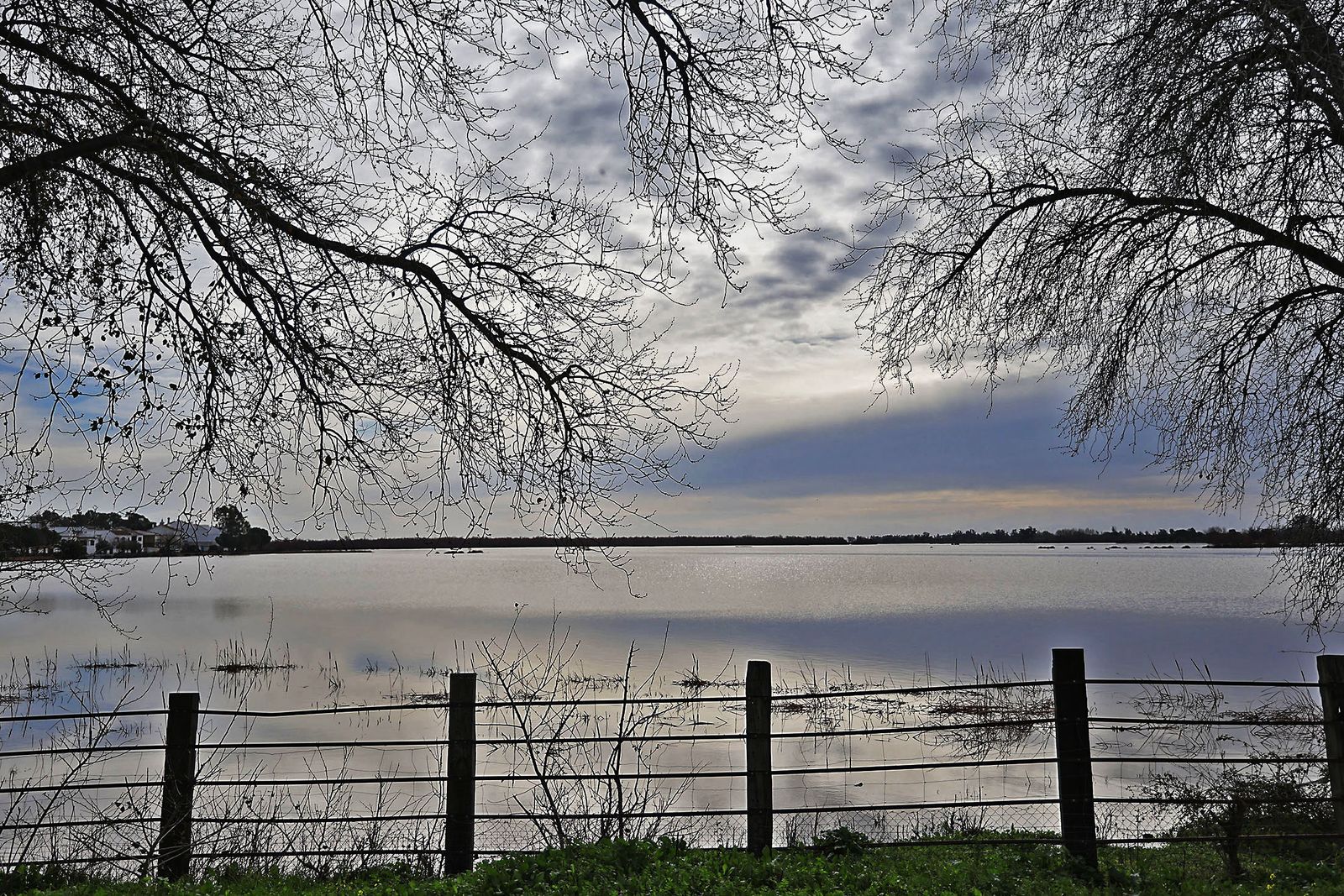El estado de las marismas del Rocío tras el paso de la borrasca Marta