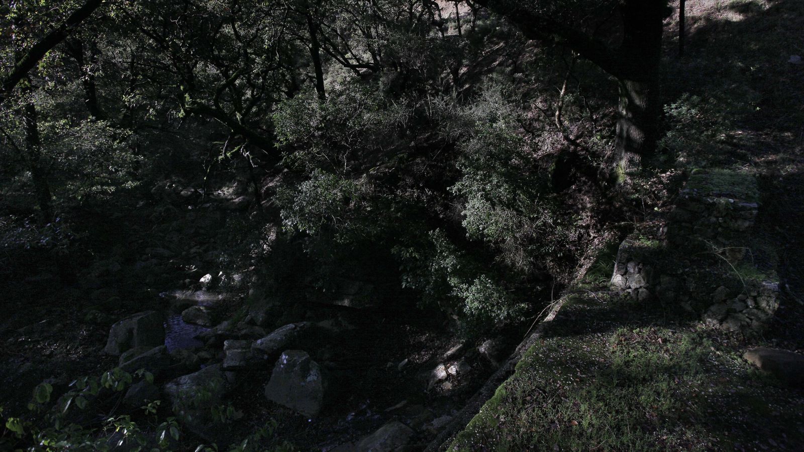 Sendero de la finca Murta en Los Barrios