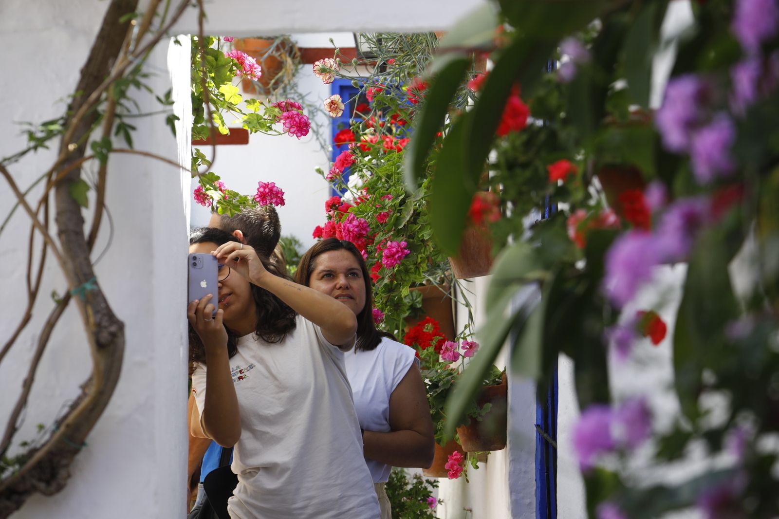 El primer sábado de Patios de Córdoba, en imágenes