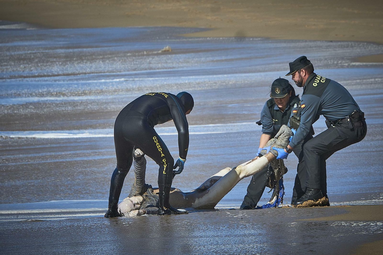Tres efectivos de la Guardia Civil sacan del mar el cadáver de un inmigrante en El Palmar.