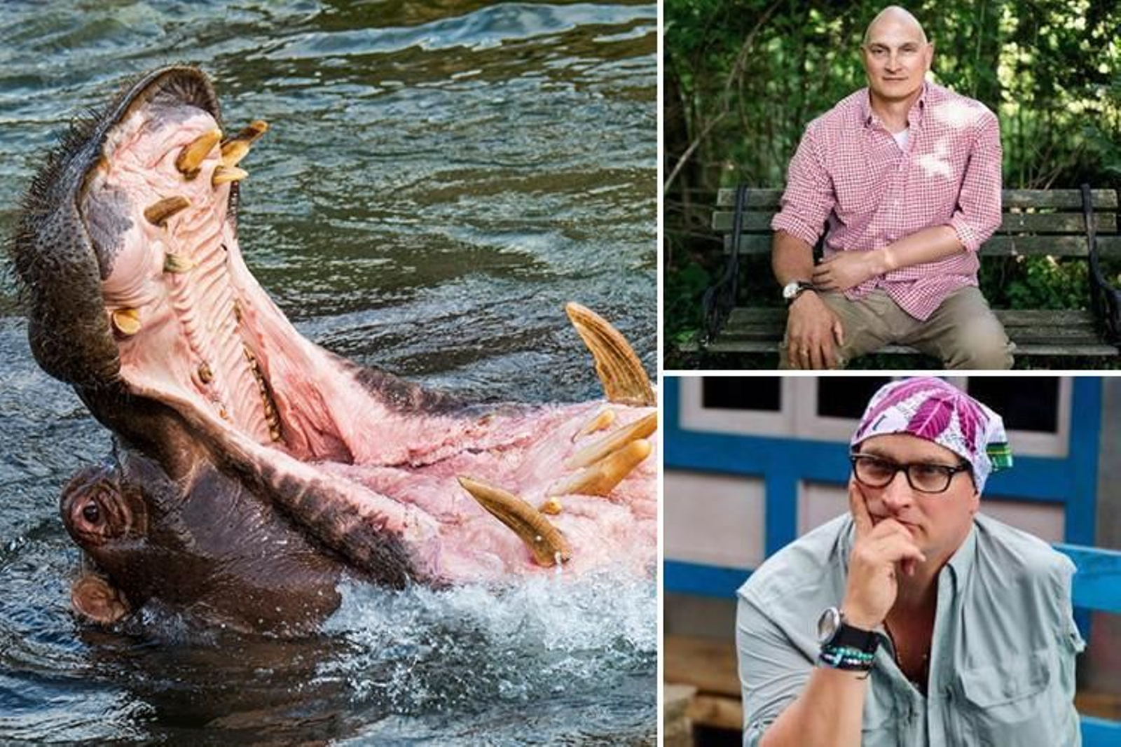 Pierde sus piernas tra el ataque de un hipopótamo que se lo intentó comer dos veces