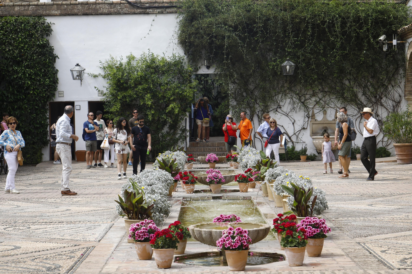 La jornada de puertas abiertas en el Palacio de Viana de Cordoba, en imágenes