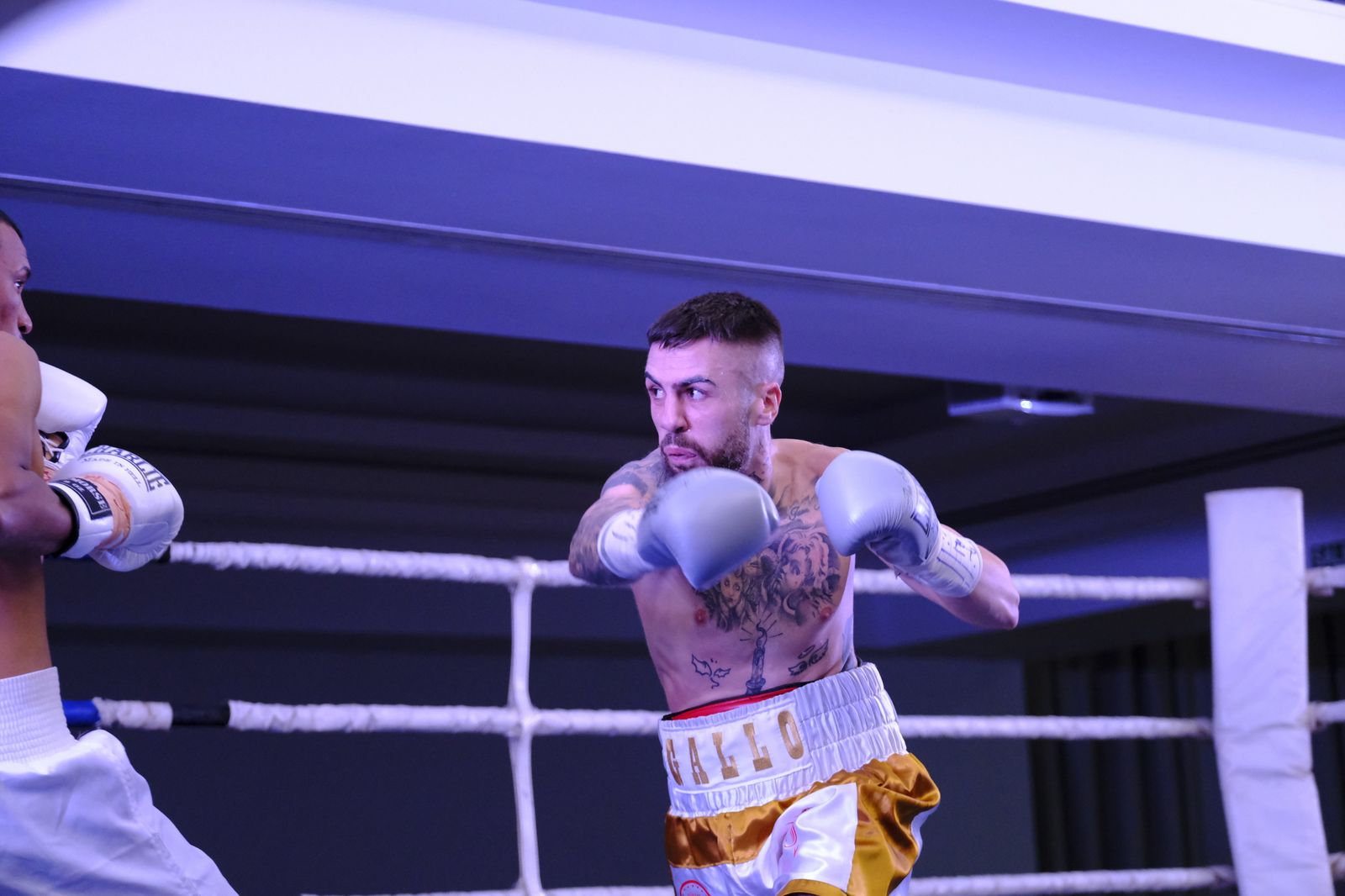 Fotogalería de la velada de boxeo Diamonds Boxing