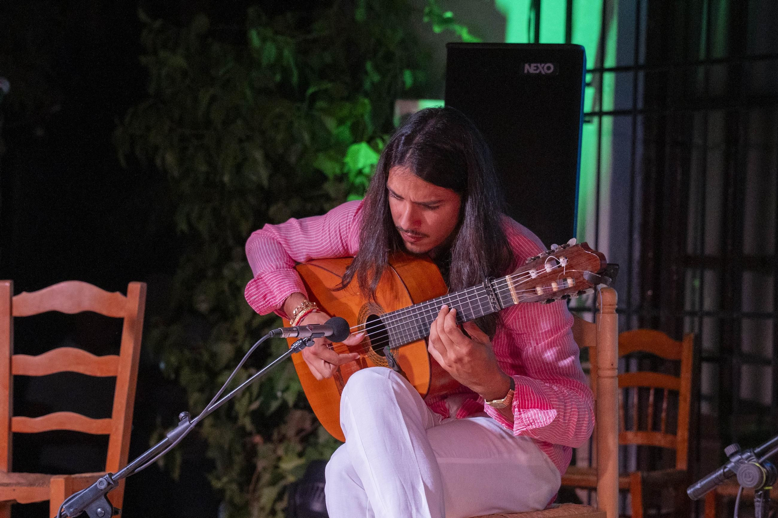 Las mejores imágenes del Festival de Flamenco en Fondón