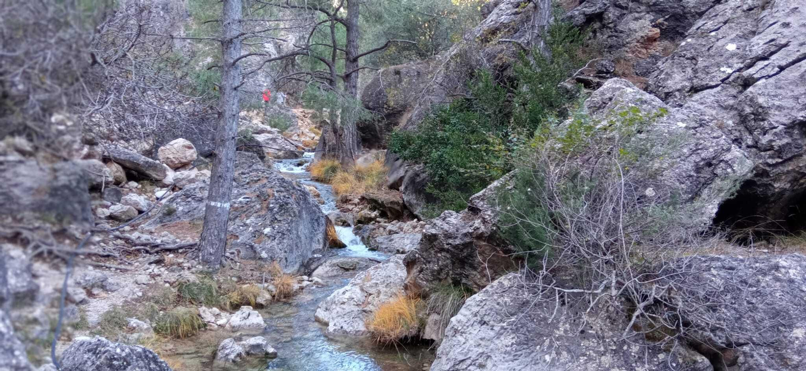 Cascadas de Guazalamanco