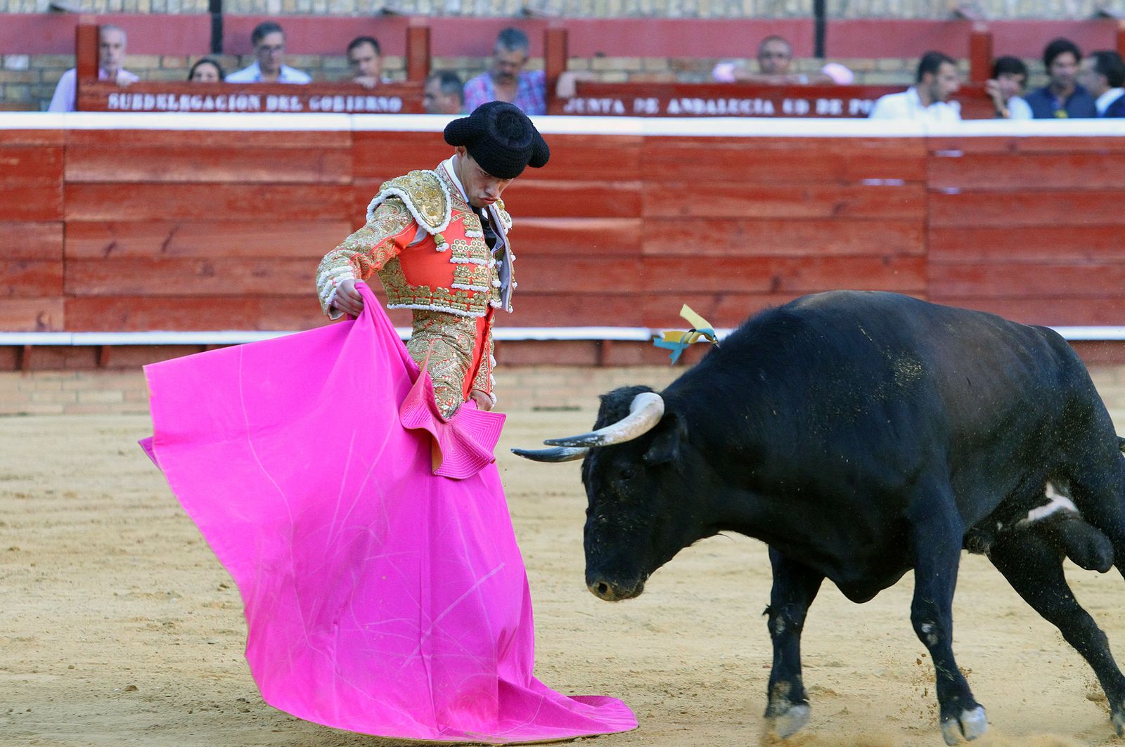Imágenes de la Novillada de Rafael Serna, Emilio Silvera y Rodrigo Molina.