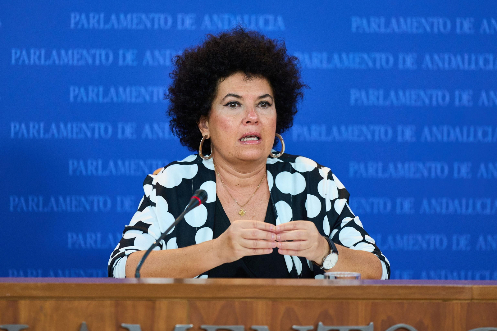 La parlamentaria de Adelante Andalucía Maribel Mora, en su comparecencia este miércoles en el Parlamento.