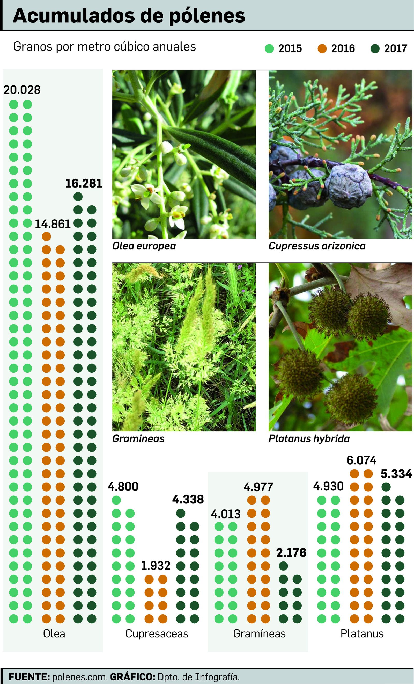 FUENTE: polenes.com. GRÁFICO: Dpto. de Infografía.
