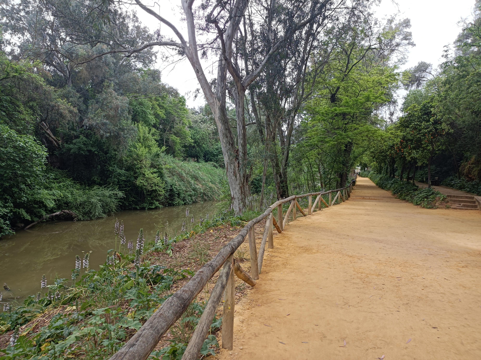 Ruta por el Guadaíra, en Alcalá