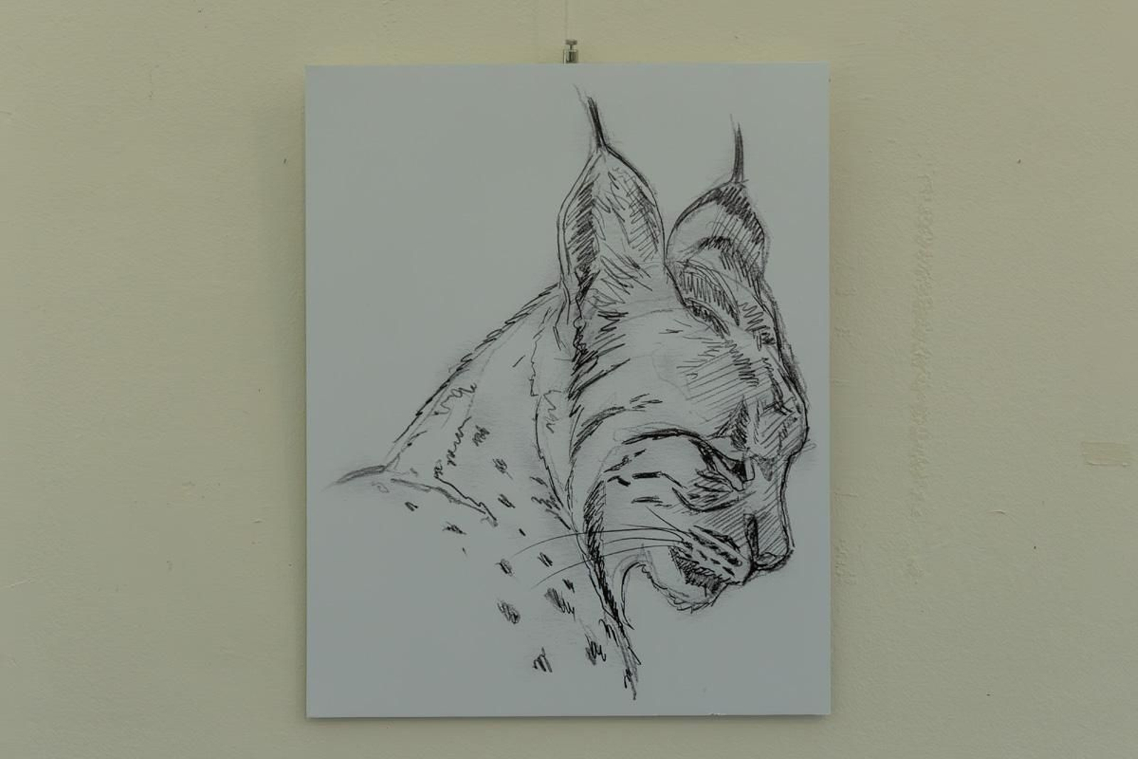 Exposición Los pinceles del lince ibérico, en imágenes