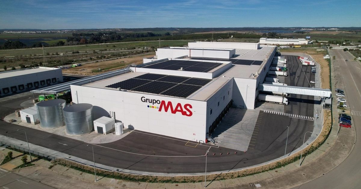 Grupo MAS eleva su facturación hasta 730 millones de euros en 2025 y asigna cinco millones de euros a retribución extraordinaria de su plantilla