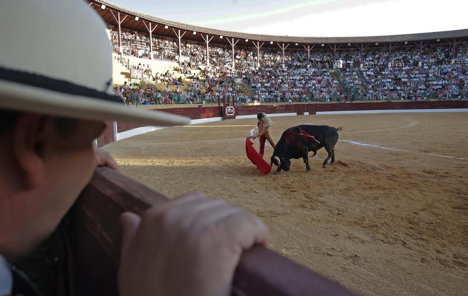 Fotos de la corrida del viernes de la Feria de La Línea: Morante de la Puebla, Talavante y David de Miranda Fotos de la corrida del viernes de la Feria de La Línea: Morante de la Puebla, Talavante y David de Miranda