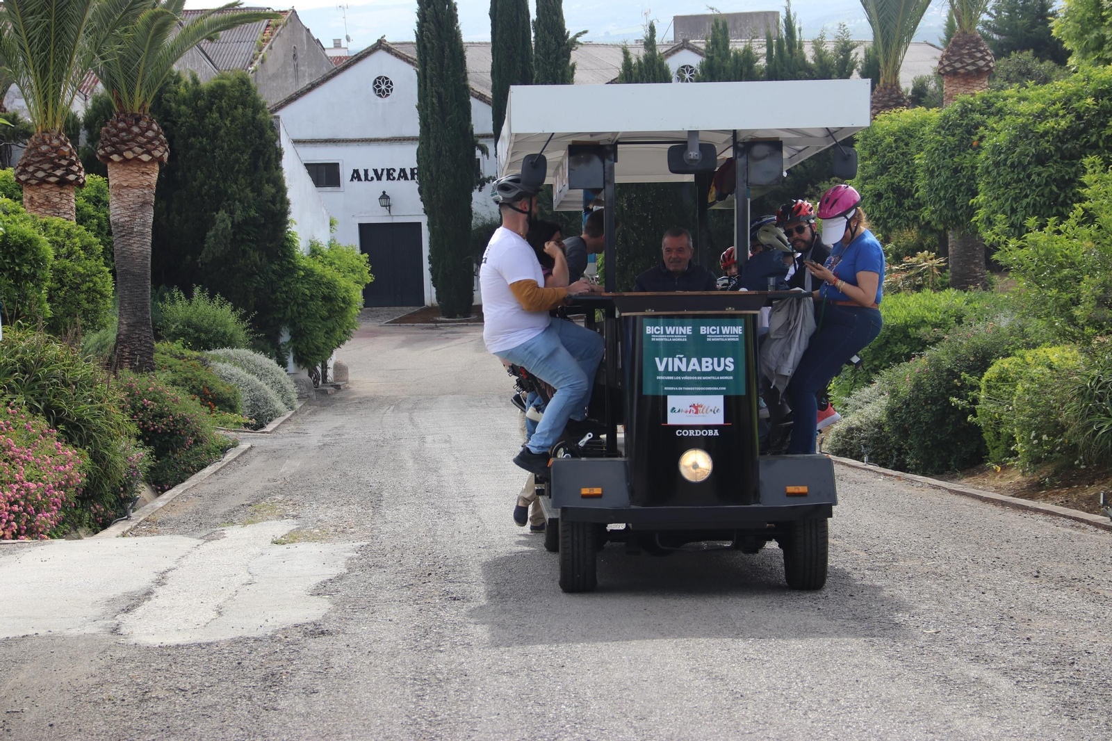 El Festival Patios de Bodega de Montilla, en imágenes