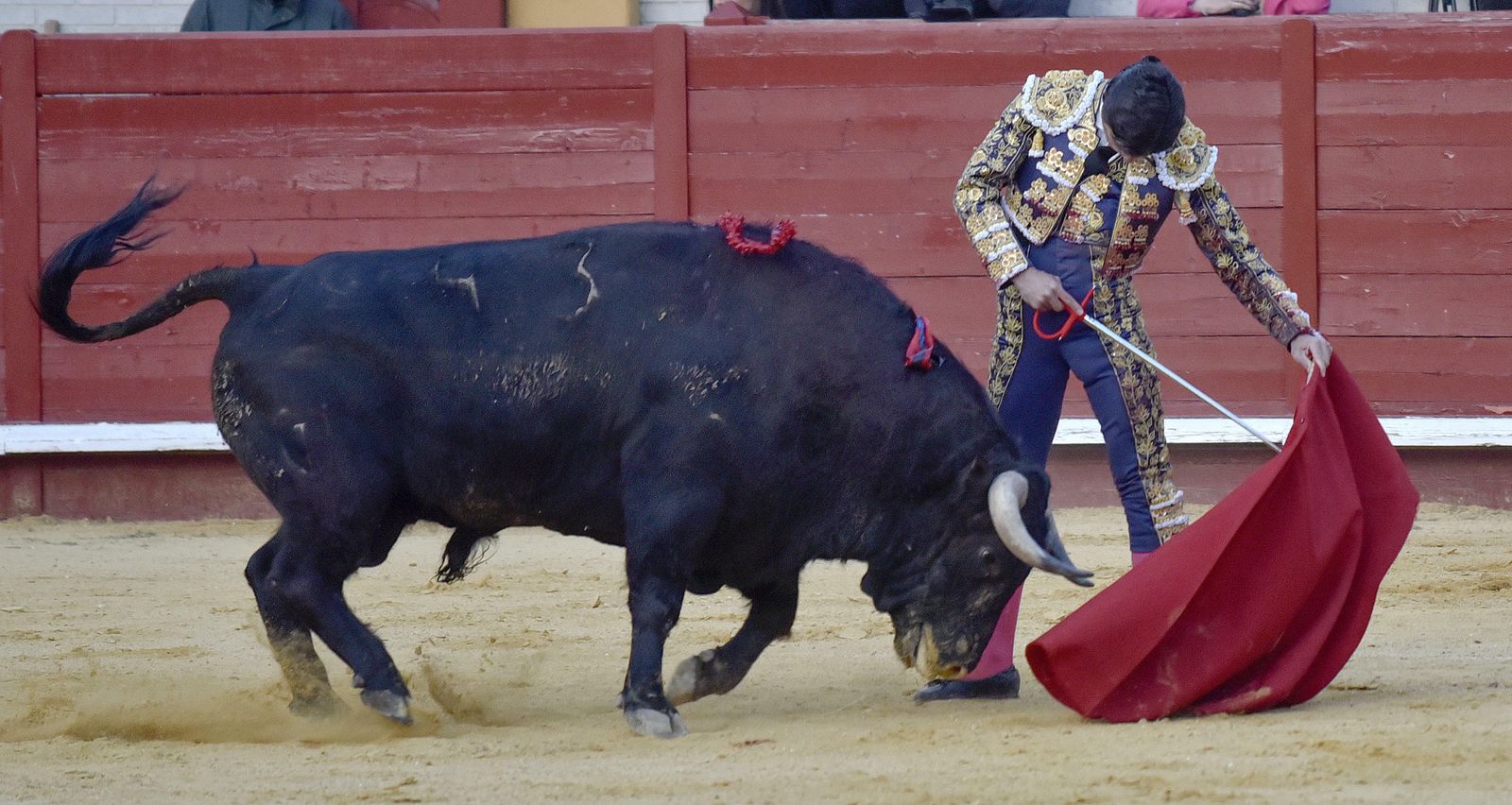 Las imágenes de la corrida en Morón con la reaparición de Jesulín de Ubrique