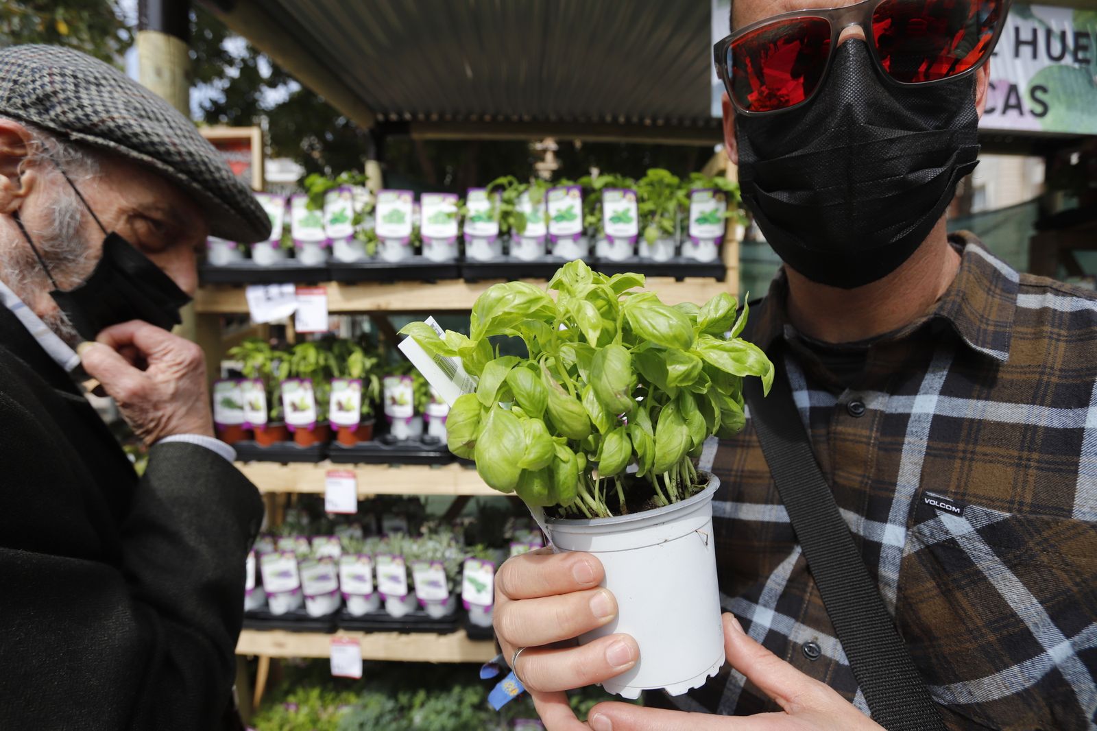 Imágenes del 'V Mercado de Flores y Plantas de Huelva' en la Plaza de Las Monjas