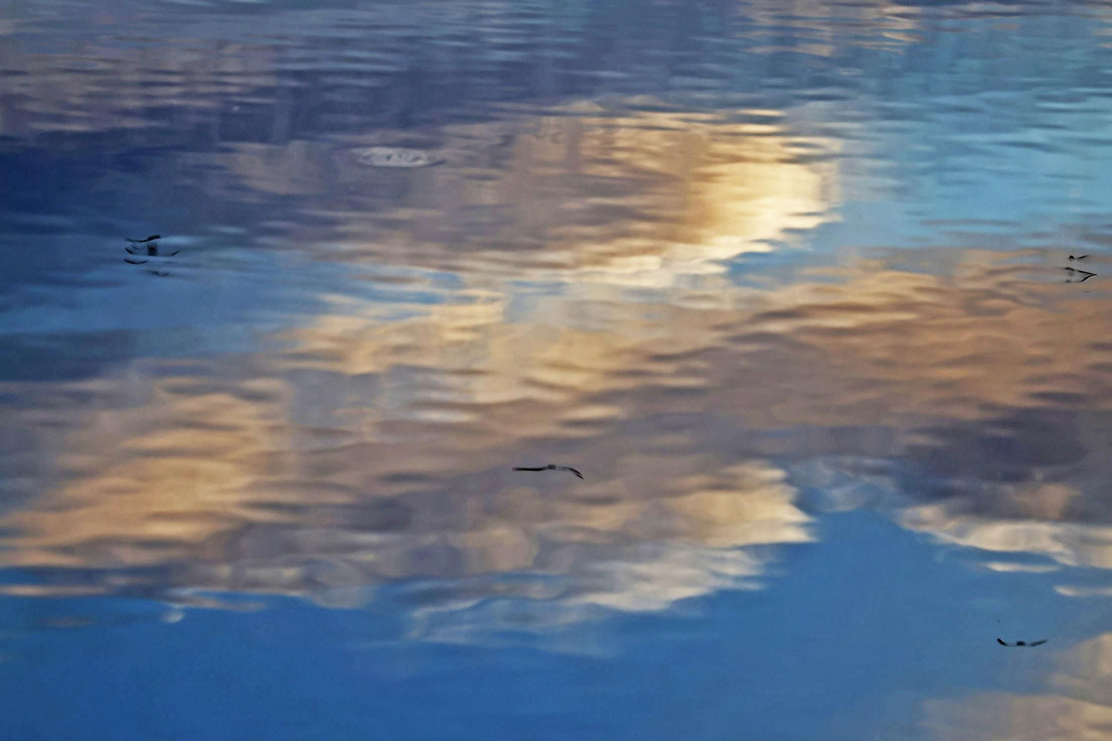 Las imágenes más destacadas del miércoles 25 de diciembre en Huelva