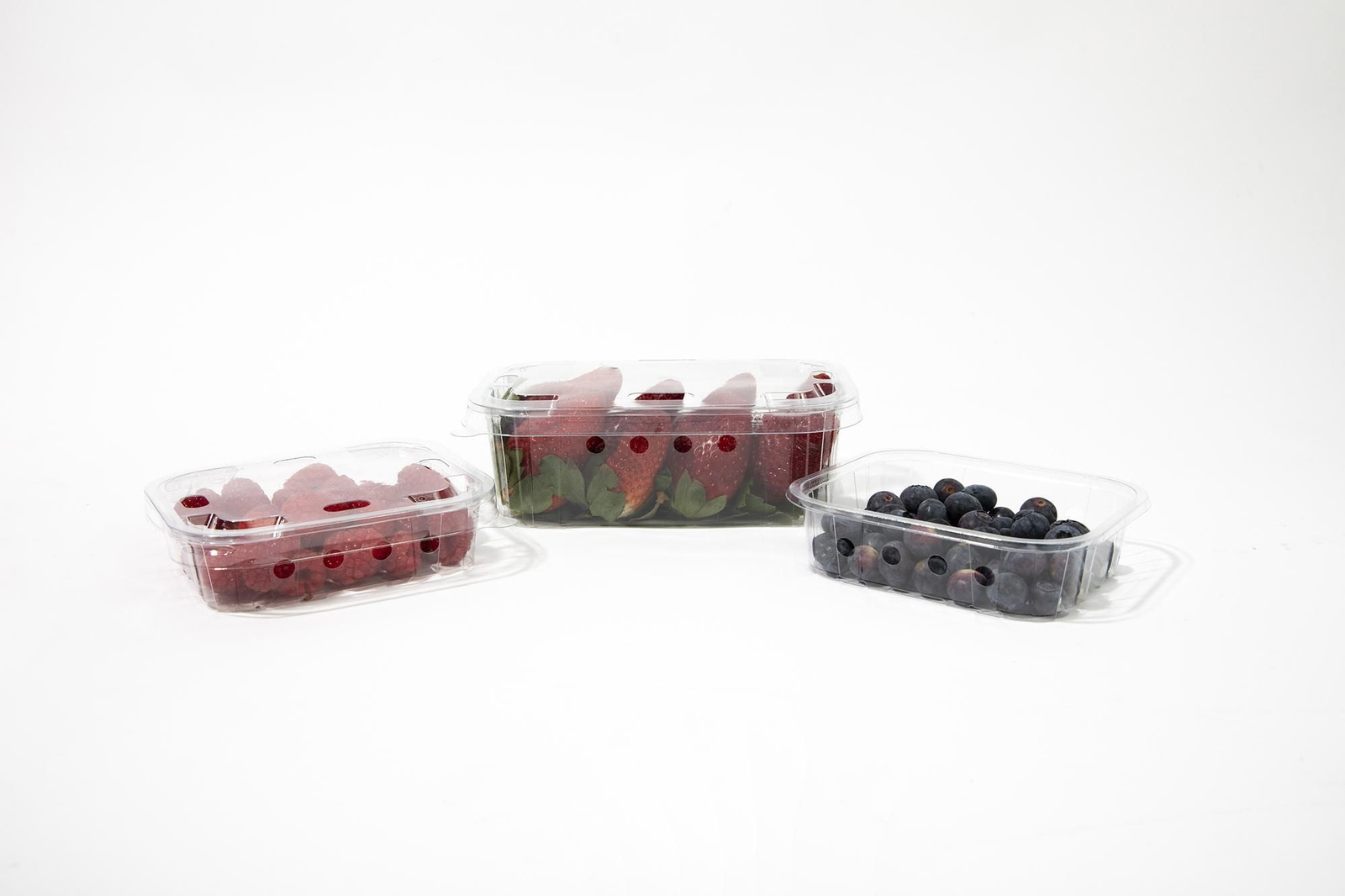 Bandejas con termosellado para ventilacion lateral de Indesla.