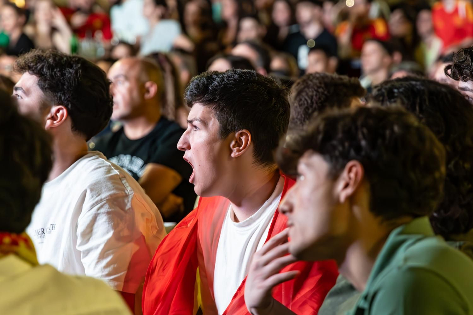 La euforia jiennense por la victoria de España, imágenes