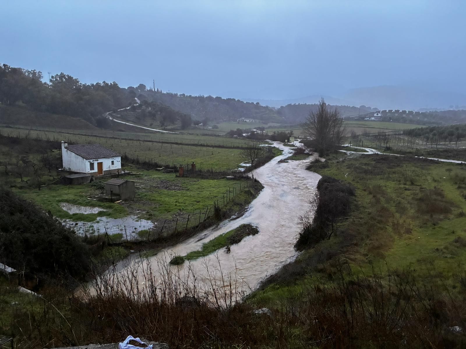 Arroyo de las Culebras a su llegada a Ronda este miércoles.