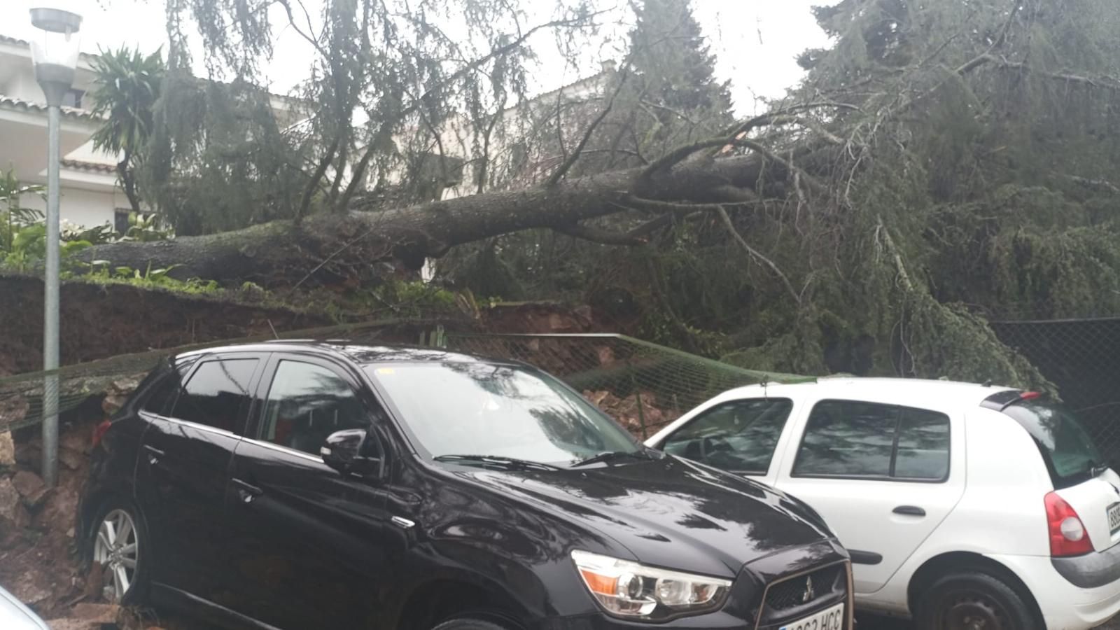 Fotografías de las goteras y humedades en el IES San Blas de Aracena, con alumnos desalojados este miércoles