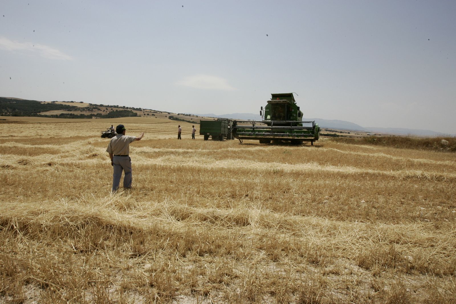 Los efectos de la sequía y los altos costes energéticos hacen tambalear la cosecha de cereales en Huelva