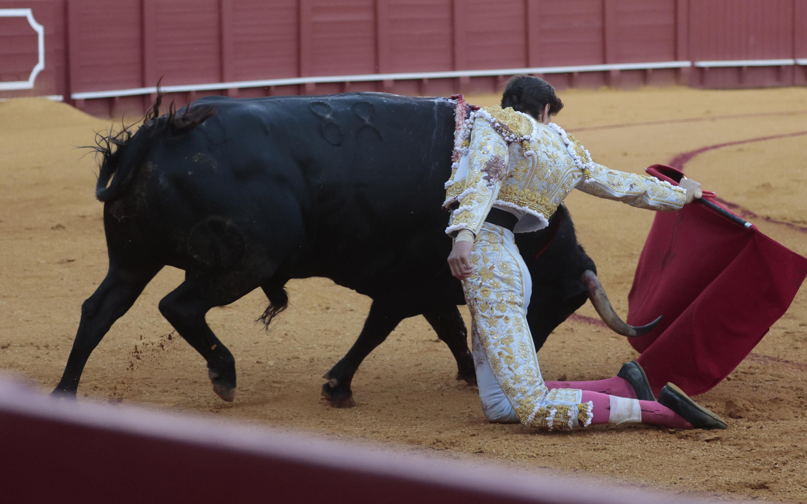 Las imágenes del primer festejo de San Miguel