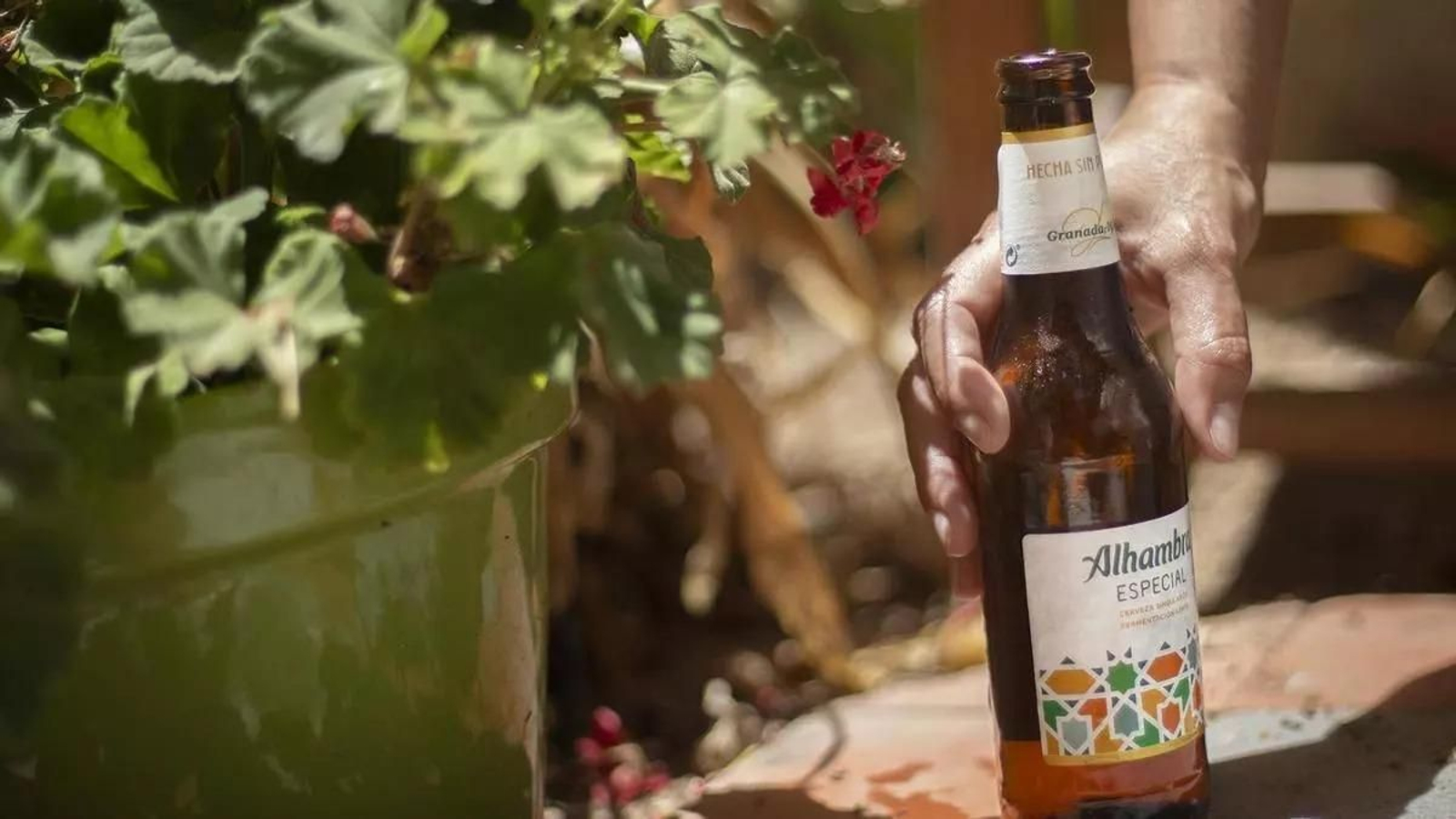 Concurso de Alhambra Especial