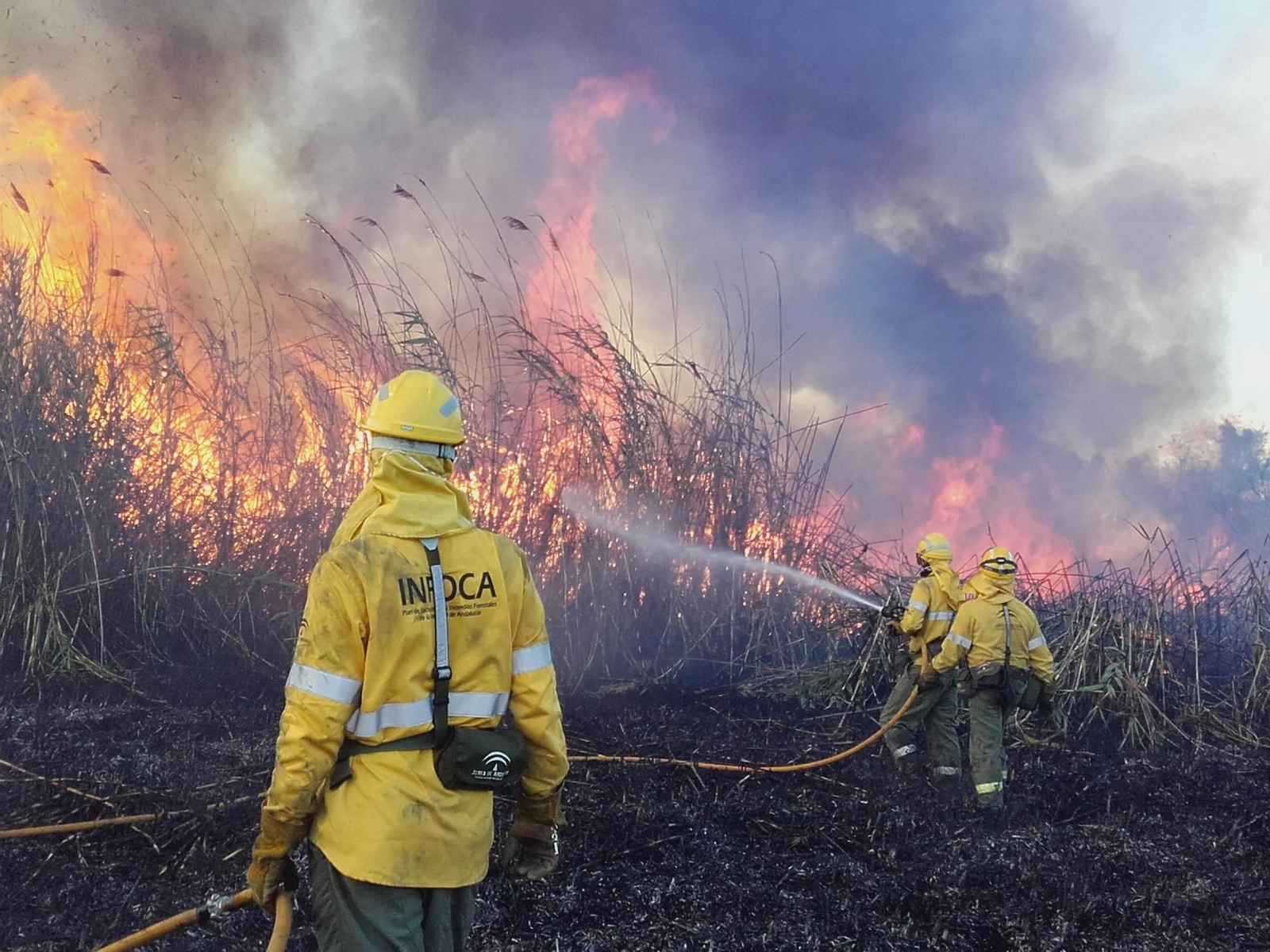 Un trabajador del Infoca durante la extinción de un incendio.