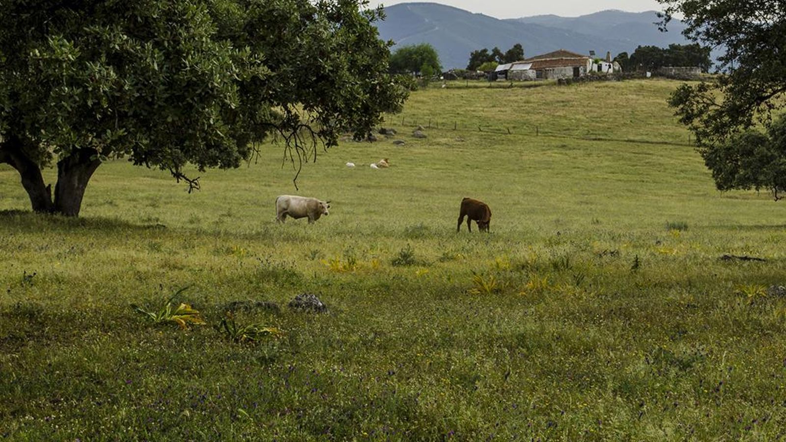 Sendero Aroche - El Mustio: el eco de la naturaleza Sendero Aroche - El Mustio: el eco de la naturaleza