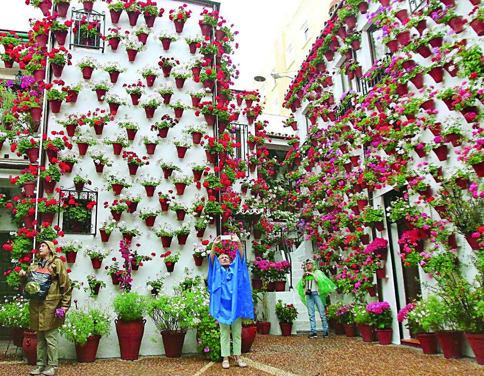 Guía de los Patios: Martín de Roa, 9