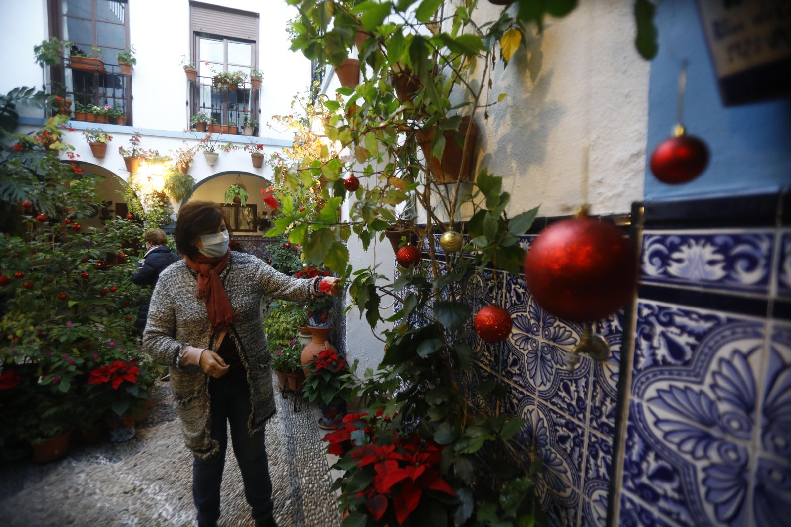 Las fotografías de los Patios de Córdoba en Navidad