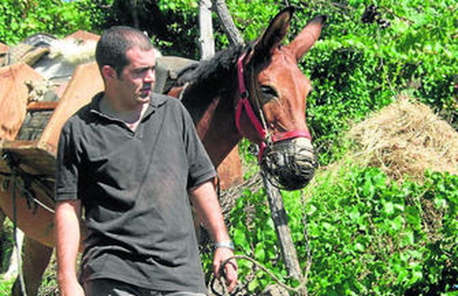 Pagos de Indalia produce 100.000 botellas este año