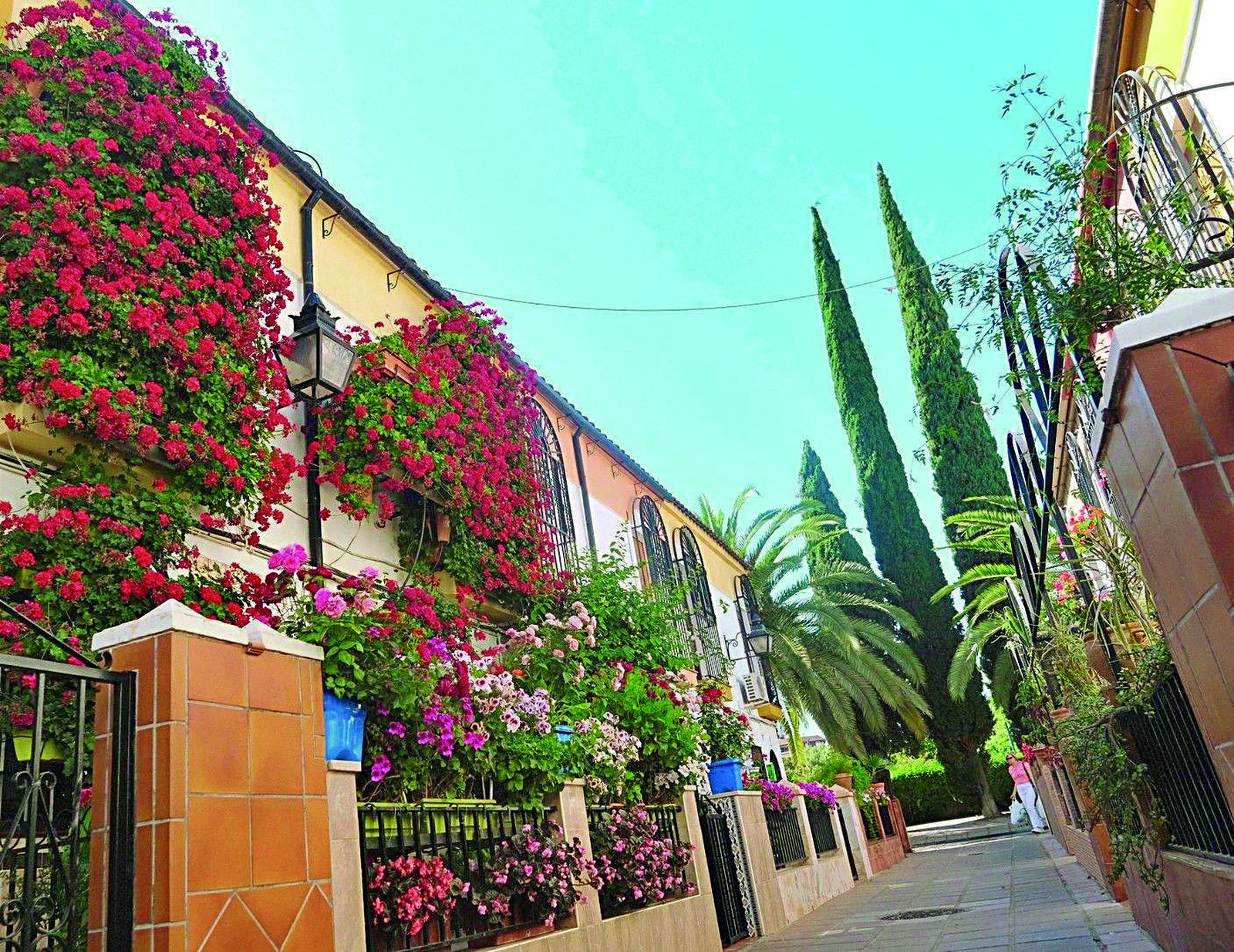 Guía de los Patios: Concurso de  Rejas y Balcones