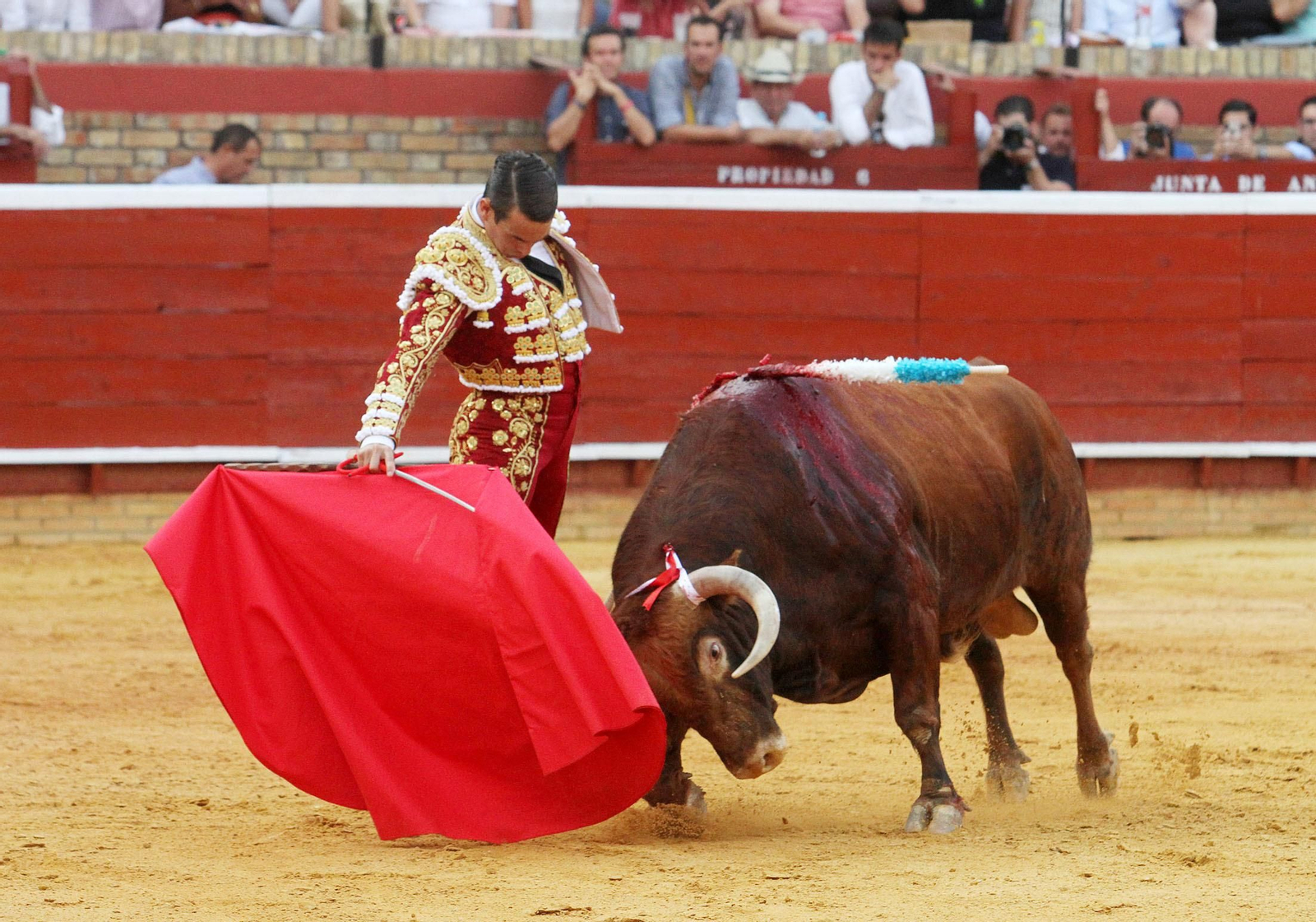 Imágenes de José María Manzanares durante la corrida de esta tarde en la Plaza de toros La Merced
