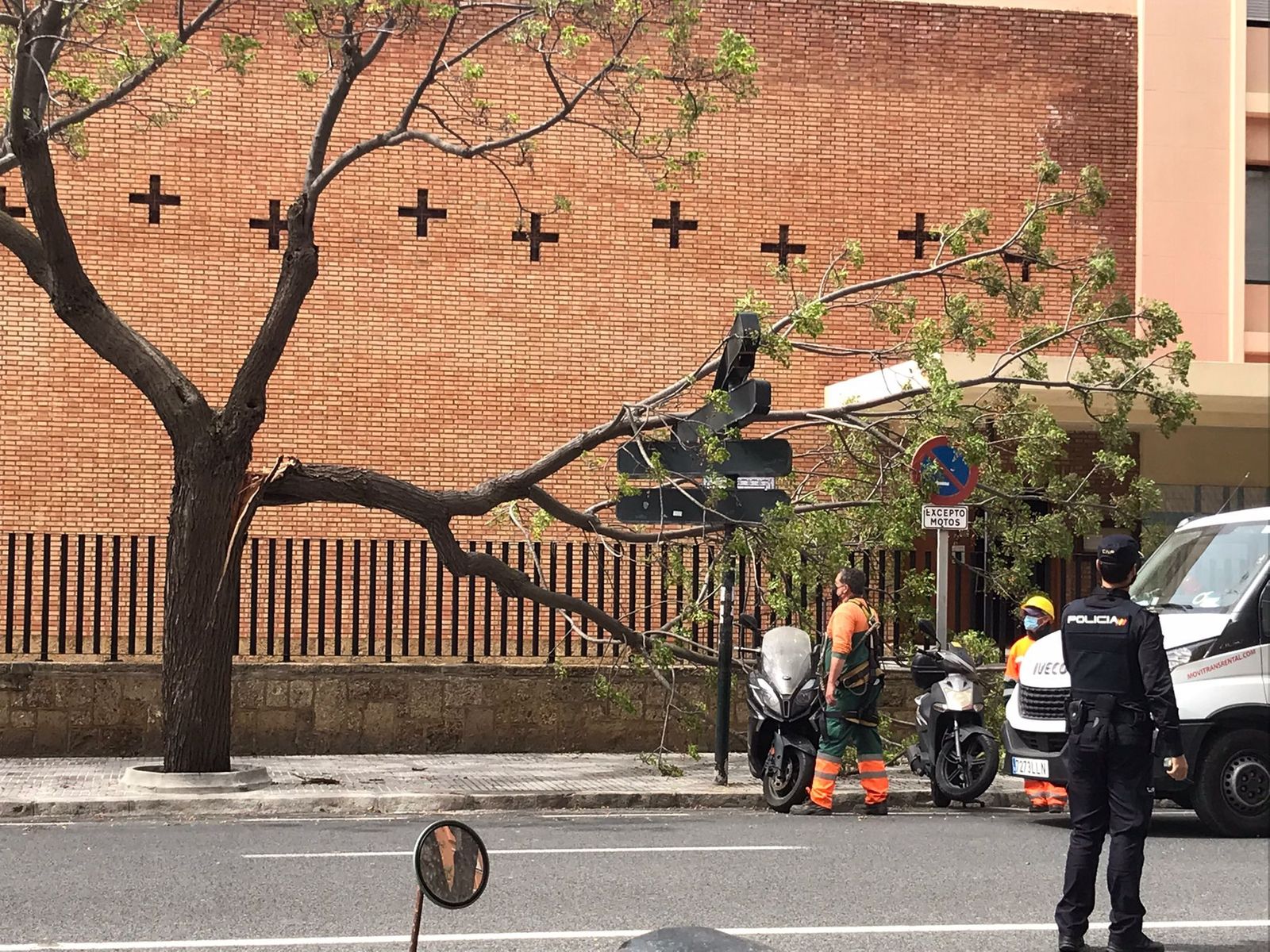 Imágenes: Los efectos del temporal de viento de Levante en Cádiz