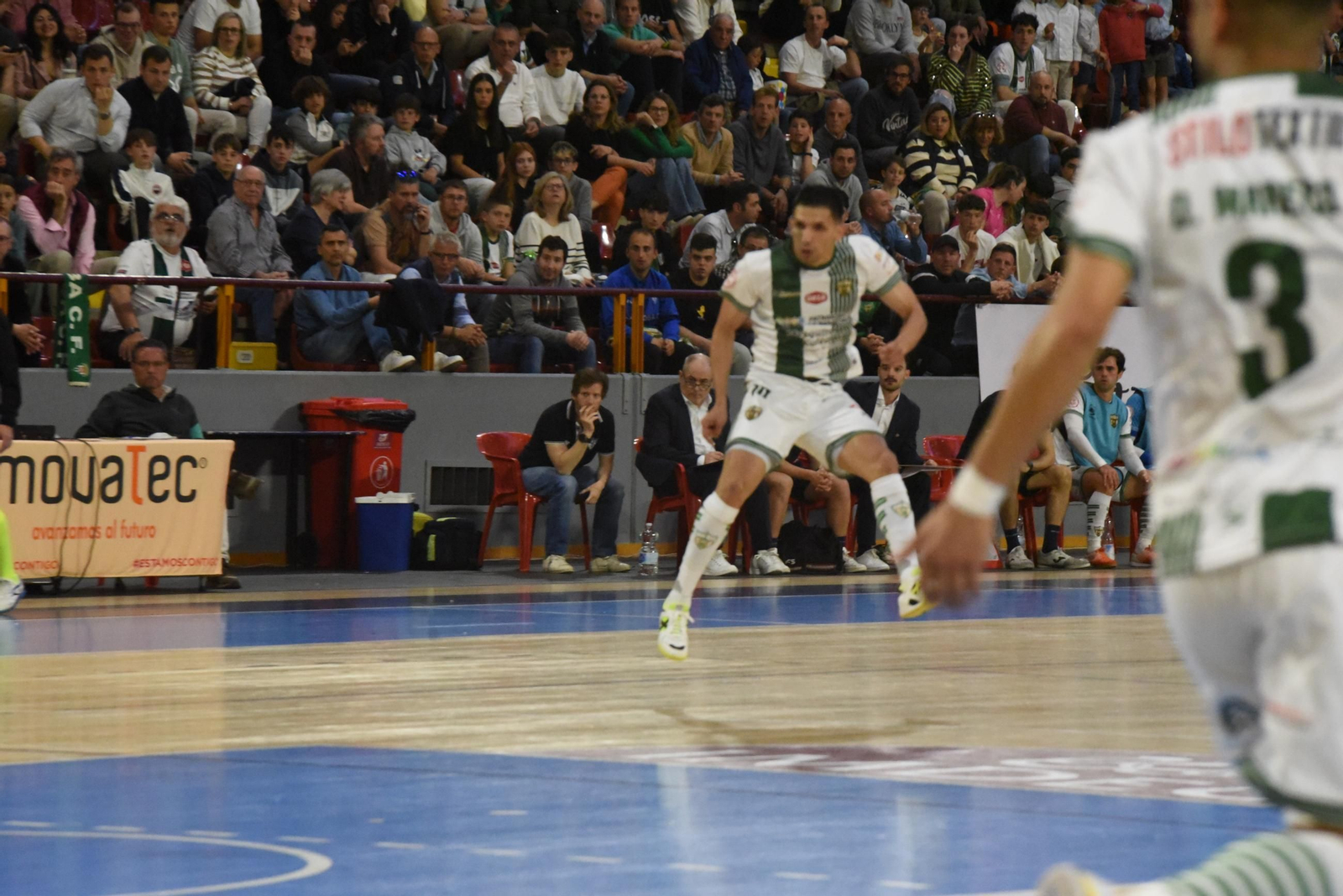 Las mejores fotos del ambiente en Vista Alegre para el Córdoba Futsal - AD Sala 10 Zaragoza