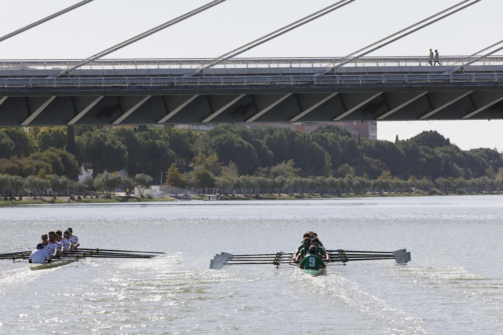 Las imágenes de la regata Sevilla-Betis