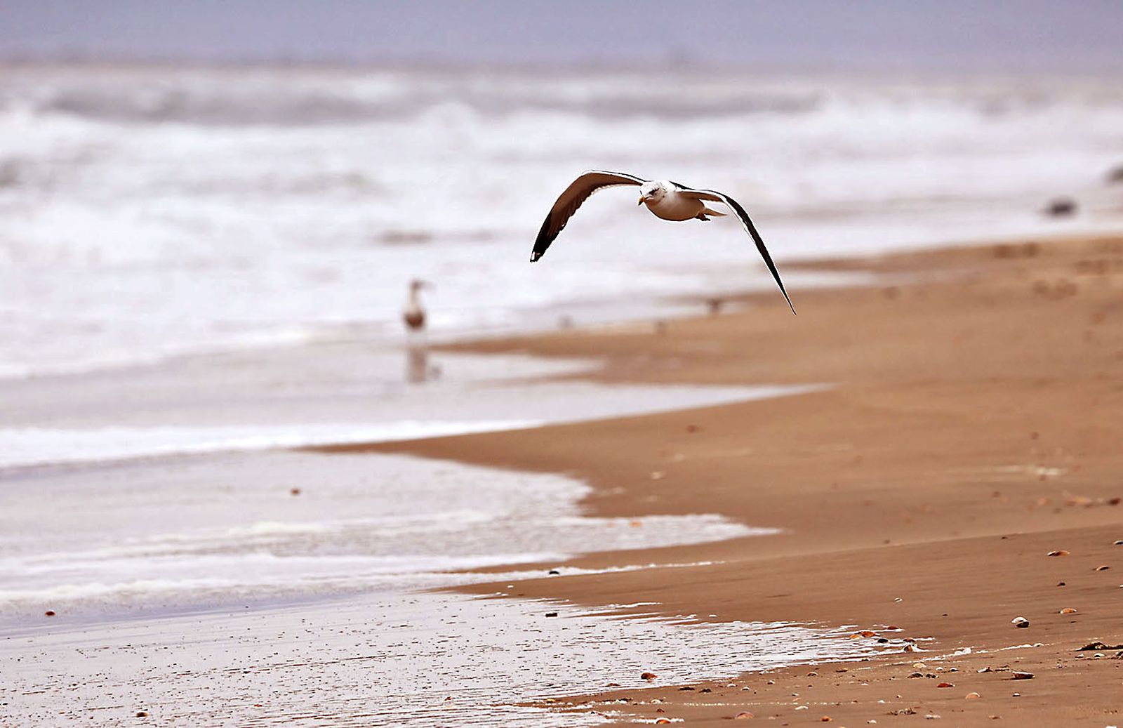 Las fotografías del primer día del año en las playas de Huelva