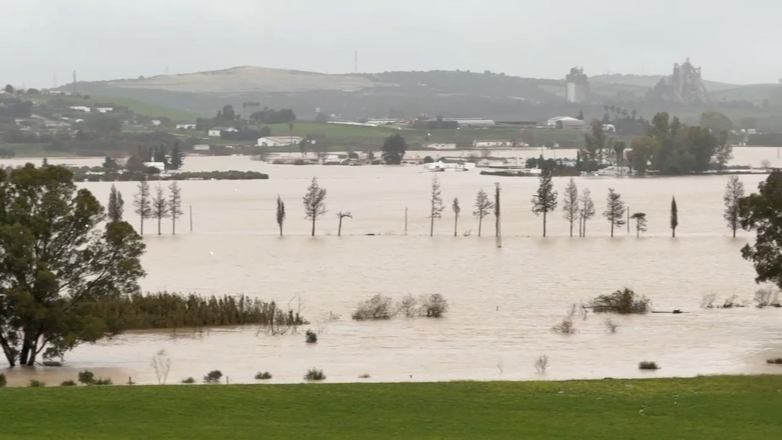 Así está el río Guadalete este sábado por la tarde visto desde Lomopardo