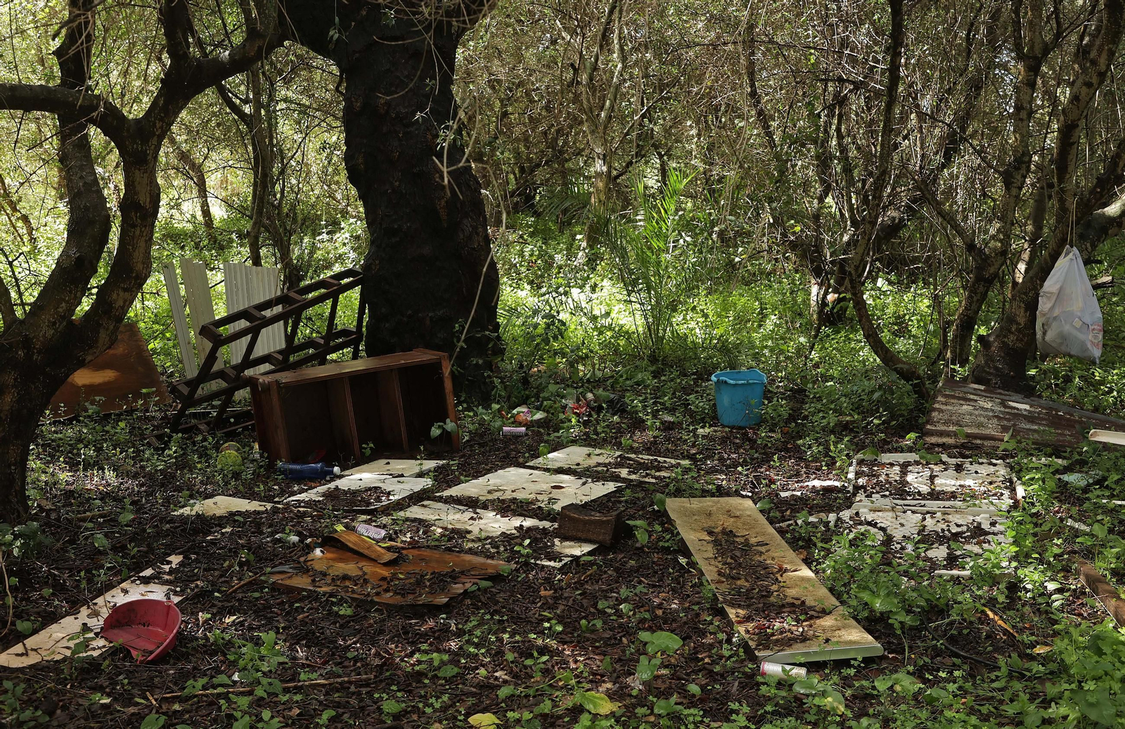 Fotos de los desperfectos e irregularidades en La Menacha