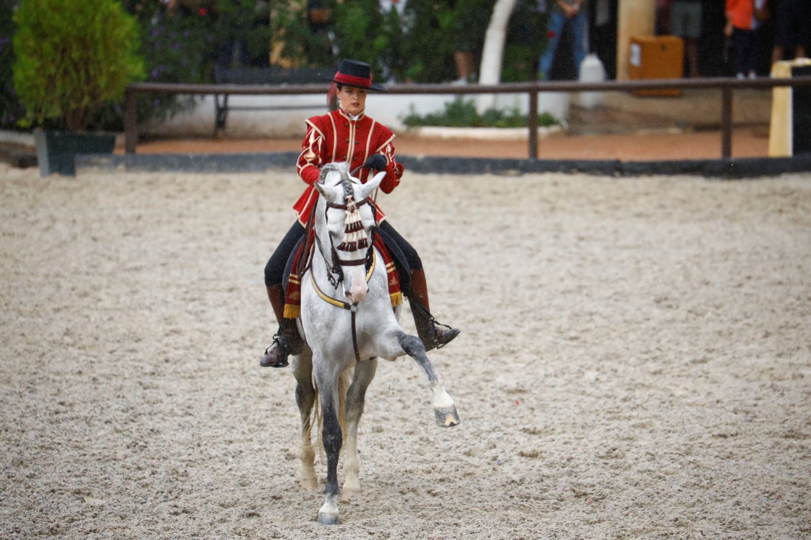 La celebración de la VI Copa de España de Alta Escuela en Córdoba, en imágenes
