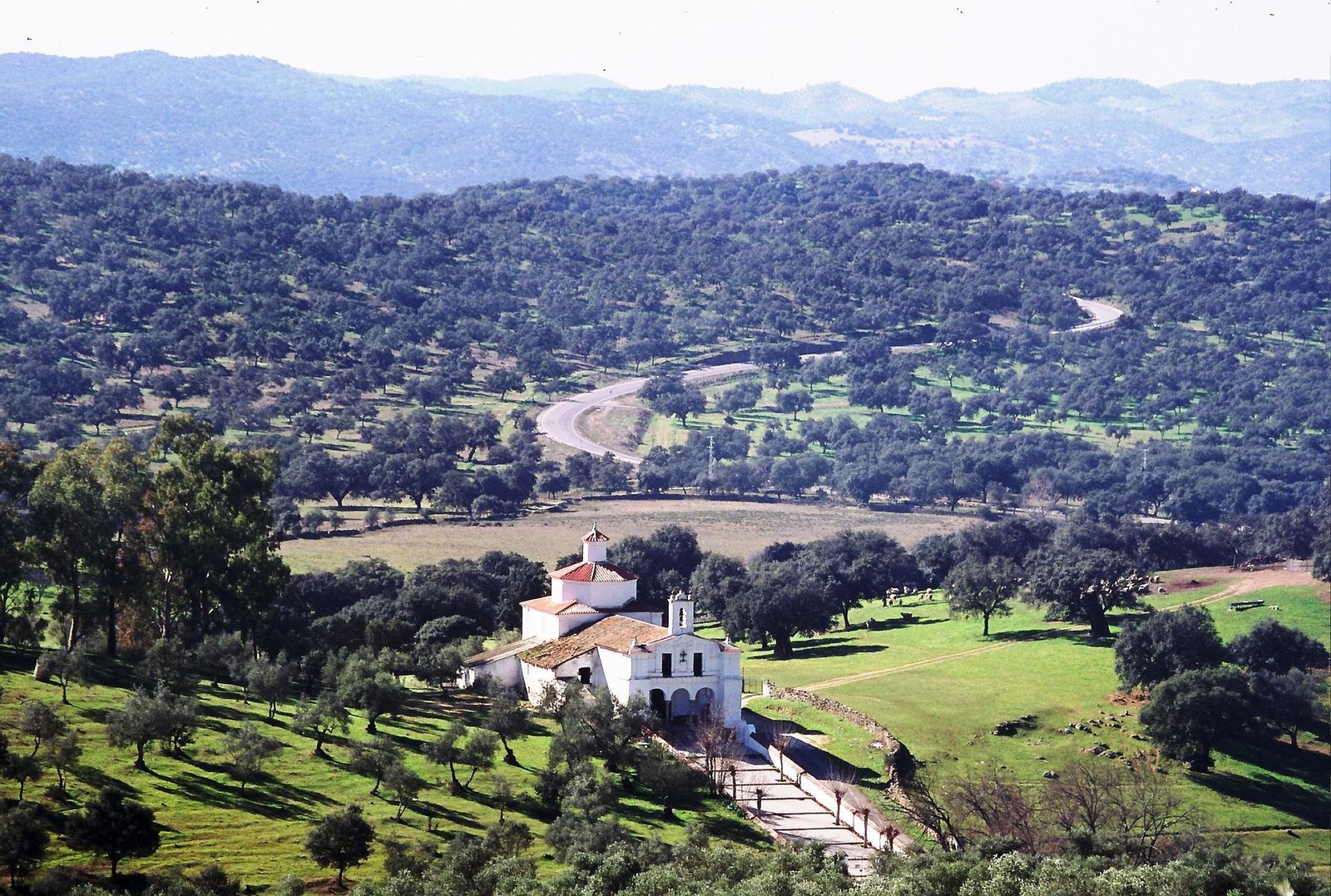 Un paisaje en el que puede apreciarse el "tapiz de colores pardos", una de las teorías sobre el origen del nombre Sierra Morena.