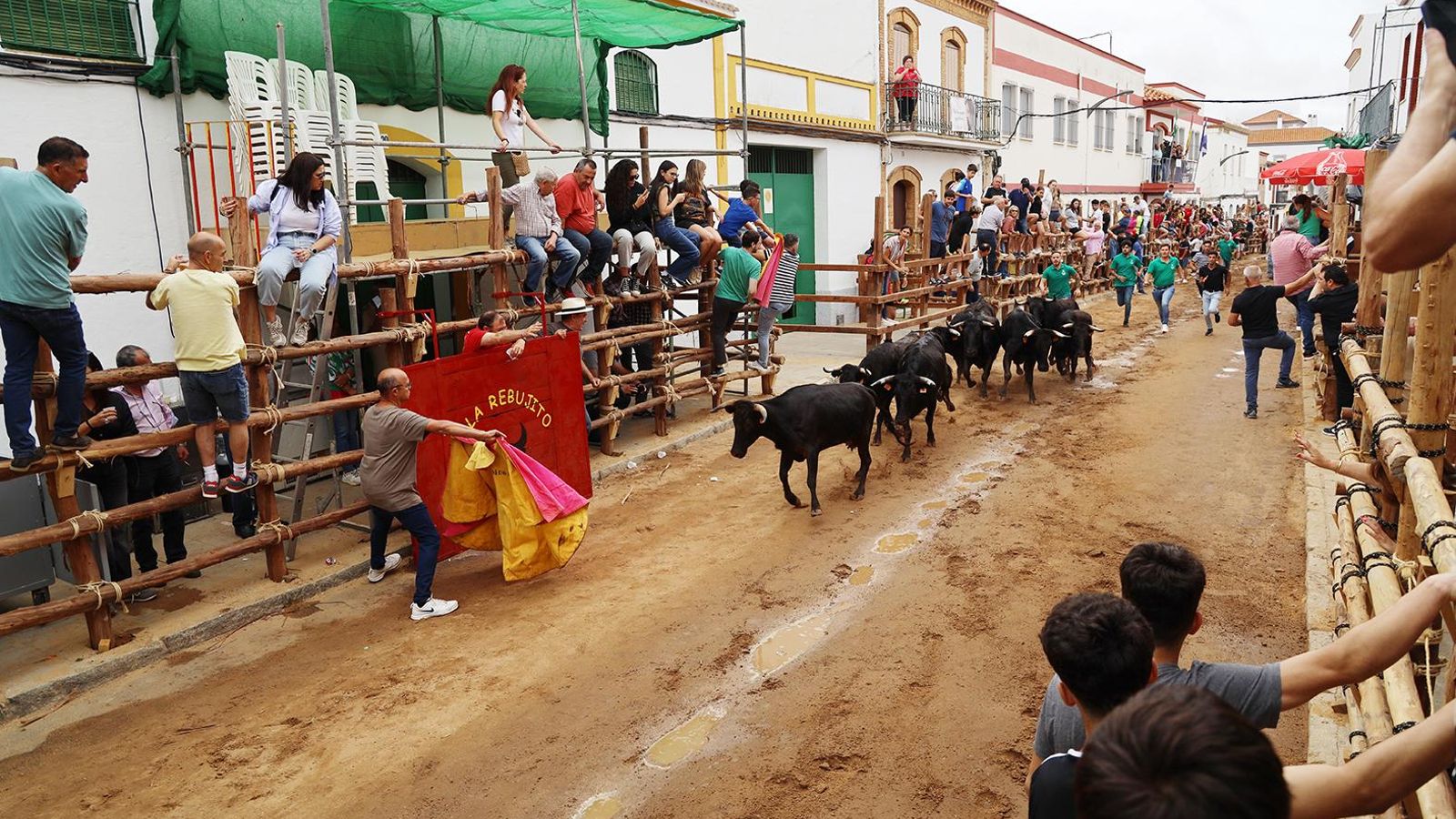 Los tradicionales encierros de las fiestas patronales sanjuaneras. Los tradicionales encierros de las fiestas patronales sanjuaneras.