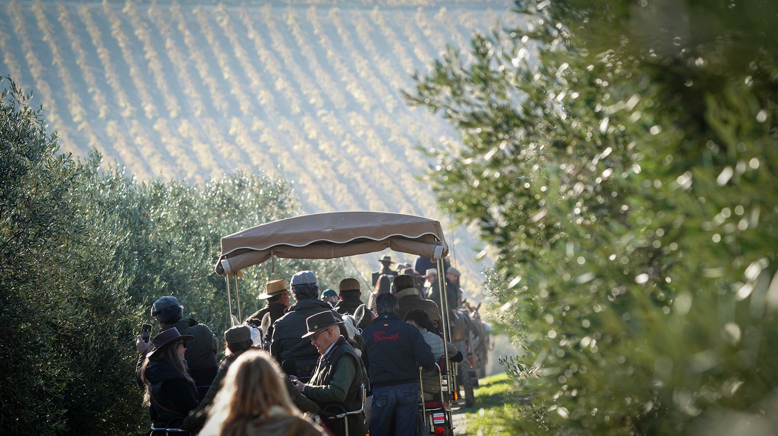 I Ruta de Carruajes Viñas de Jerez