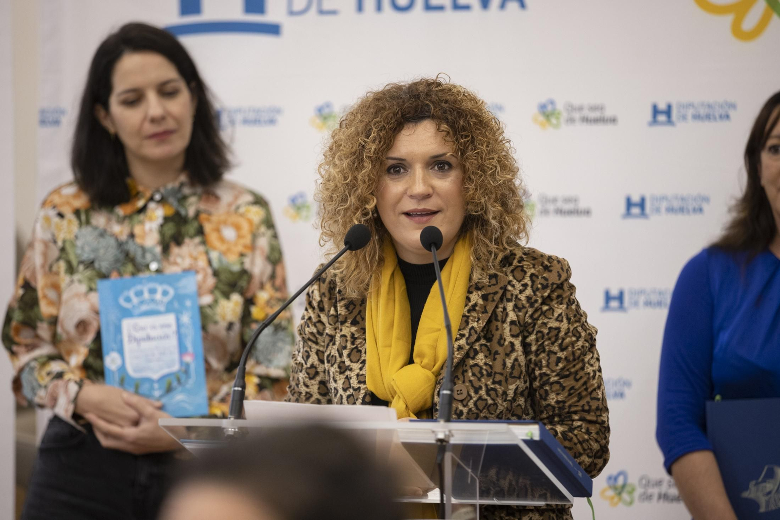 Imágenes de la presentación de diputación