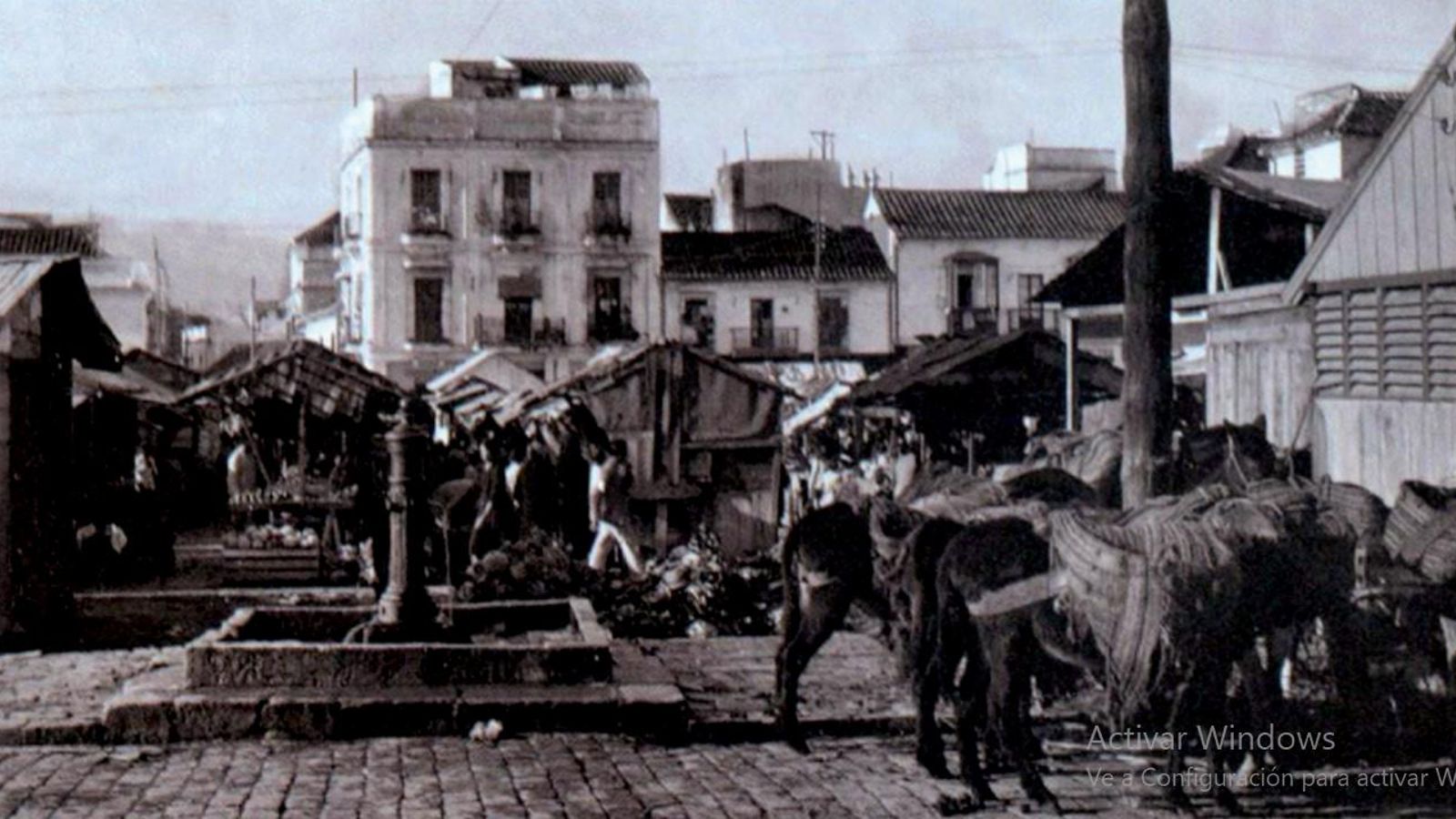 Interior del mercado de la plaza Nuestra Señora de la Palma en una fotografía de 1906. Véanse los deteriorados puestos de venta y la fuente que se habilitó intramuros para uso de los vendedores y de sus clientes.