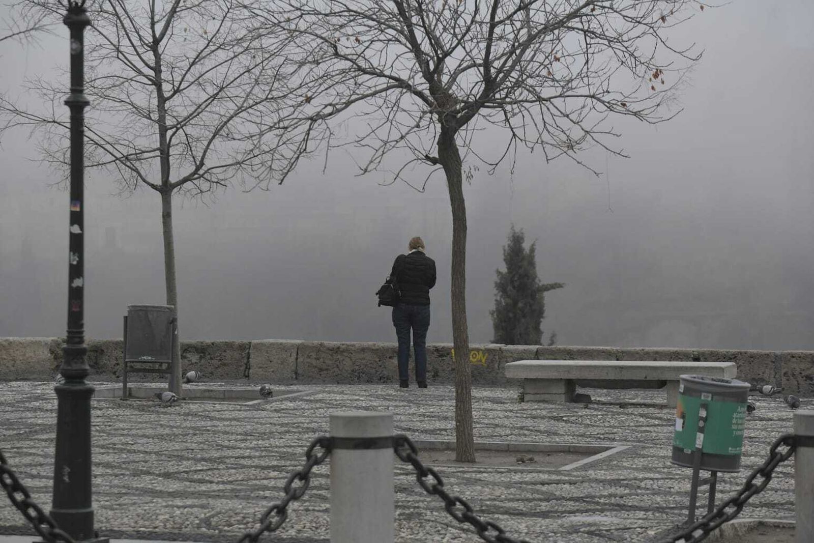 La niebla que ha cubierto Granada este miércoles, en imágenes