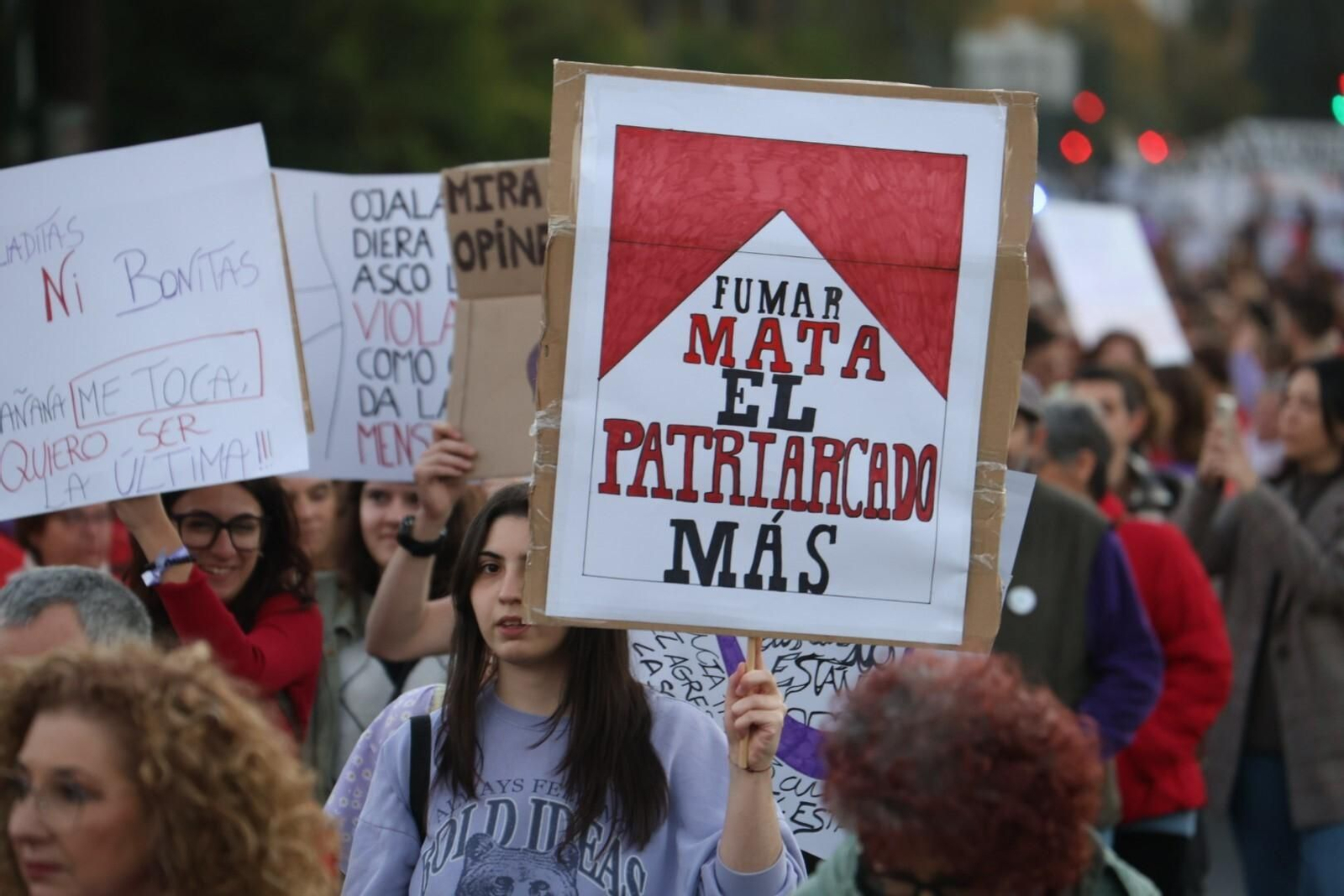 La manifestación del 25N en Córdoba, en imágenes