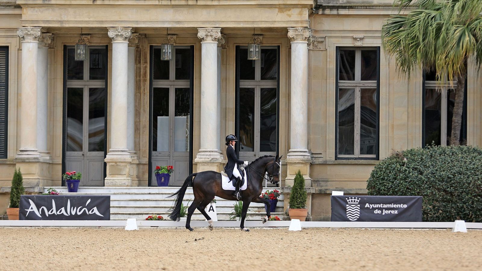 Concurso Internacional de Doma Clásica en La Real Escuela de Jerez