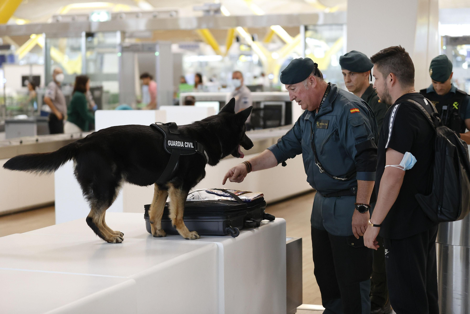 Medidas preventivas.